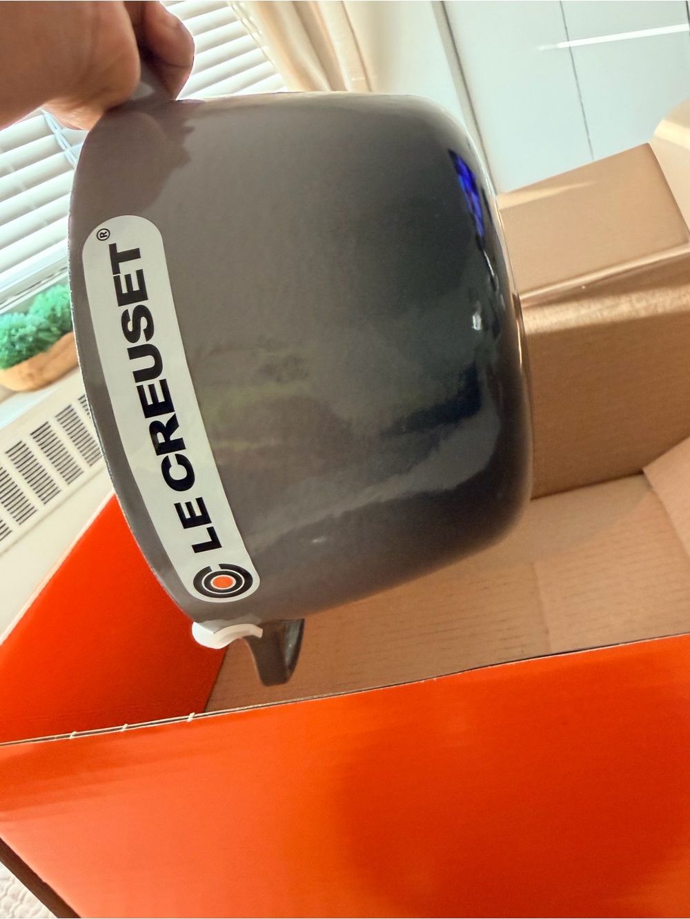 New In Box Le Creuset Signature Enameled Cast Iron Saucepan Oyster - Picture 6 of 8